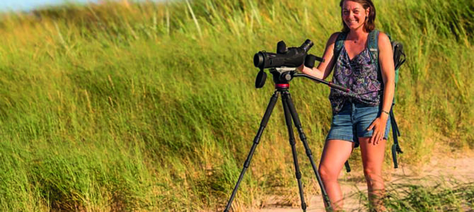 REGARDS SUR LA FAUNE SAUVAGE EN BAIE D’AUTHIE