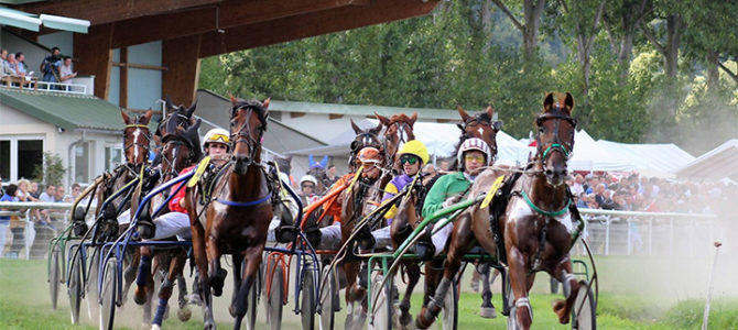 COURSES HIPPIQUES
