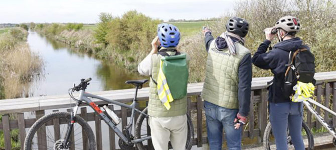 SORTIE VÉLO’ORNITHO