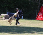 CONCOURS CANIN IGP
