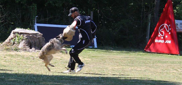 CONCOURS CANIN IGP