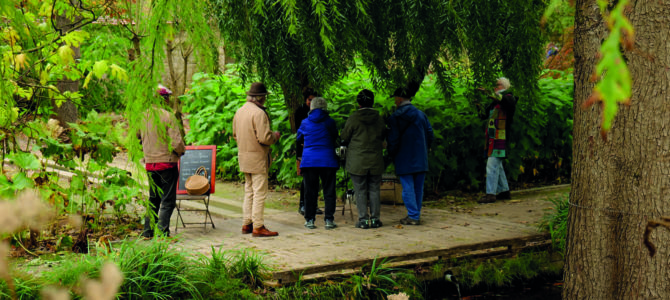 LES RENDEZ-VOUS AUX JARDINS