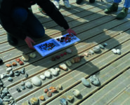 SORTIE « COULEURS ET MATIÈRES, À LA DÉCOUVERTE DE CAYEUX SUR MER »