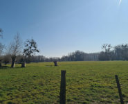 À LA DÉCOUVERTE DU VAL DE GRAND-LAVIERS