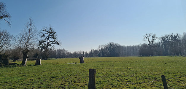 À LA DÉCOUVERTE DU VAL DE GRAND-LAVIERS