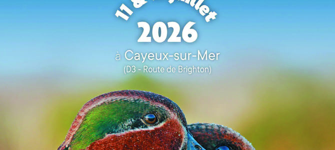 SALON DES MIGRATEURS