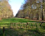 FOCUS SUR LA FORÊT DE CRÉCY, 1000 ANS D’HISTOIRE