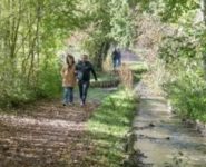 MARCHE NATURE AU GUÉ DE LA TRIE