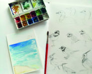PAYSAGE DE LA BAIE ET SA FAUNE À L'AQUARELLE