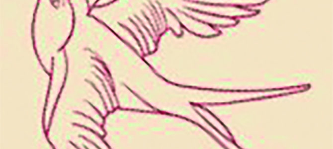ATELIERS « ÉCOUTE ET DESSINE »