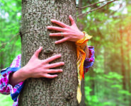 SYLVOTHÉRAPIE EN FORÊT DE CRÉCY