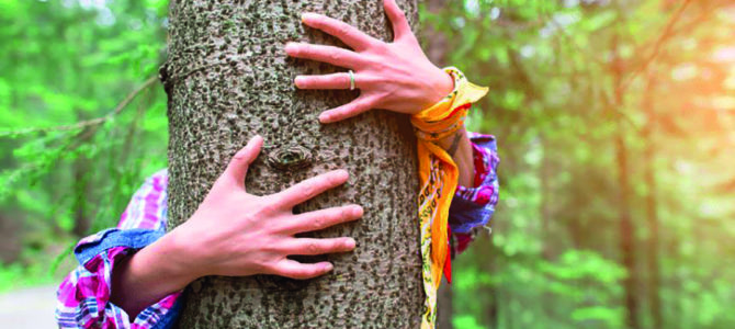 SYLVOTHÉRAPIE EN FORÊT DE CRÉCY