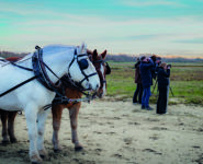 SORTIE CALÈCHE