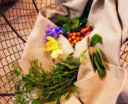 ATELIER CULINAIRE
