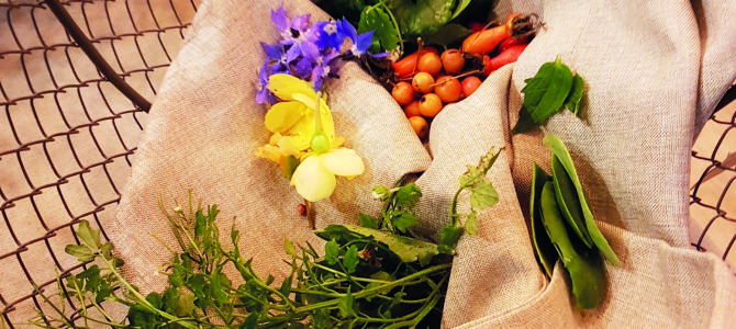 ATELIER CULINAIRE