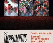 3ème IMPROMPTUS PHOTOGRAPHIQUES ET POÉTIQUES