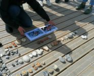 COULEURS ET MATIÈRES : À LA DÉCOUVERTE DE CAYEUX SUR MER