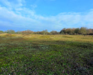 CHANTIER NATURE, RESTAURATION D’UNE MARE.