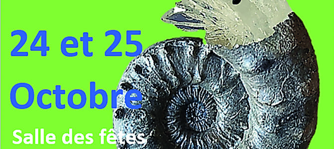 SALON DES MINÉRAUX, BIJOUX & FOSSILES