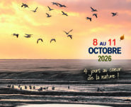 RENDEZ-VOUS D’AUTOMNE DU FESTIVAL DE L’OISEAU ET DE LA NATURE