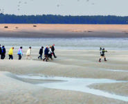 LES RICHESSES DE L’ESTUAIRE