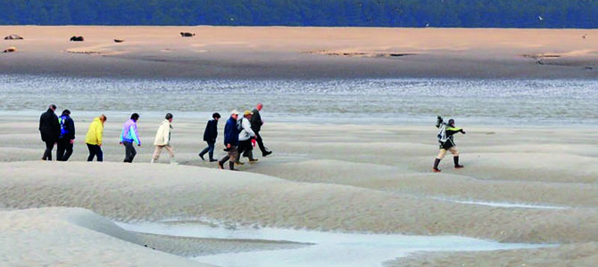 LES RICHESSES DE L’ESTUAIRE