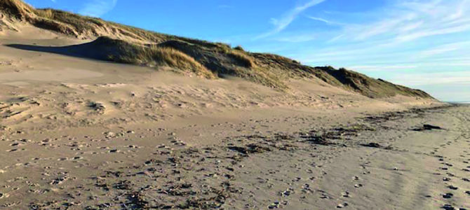 LES SECRETS DE LA LAISSE DE MER